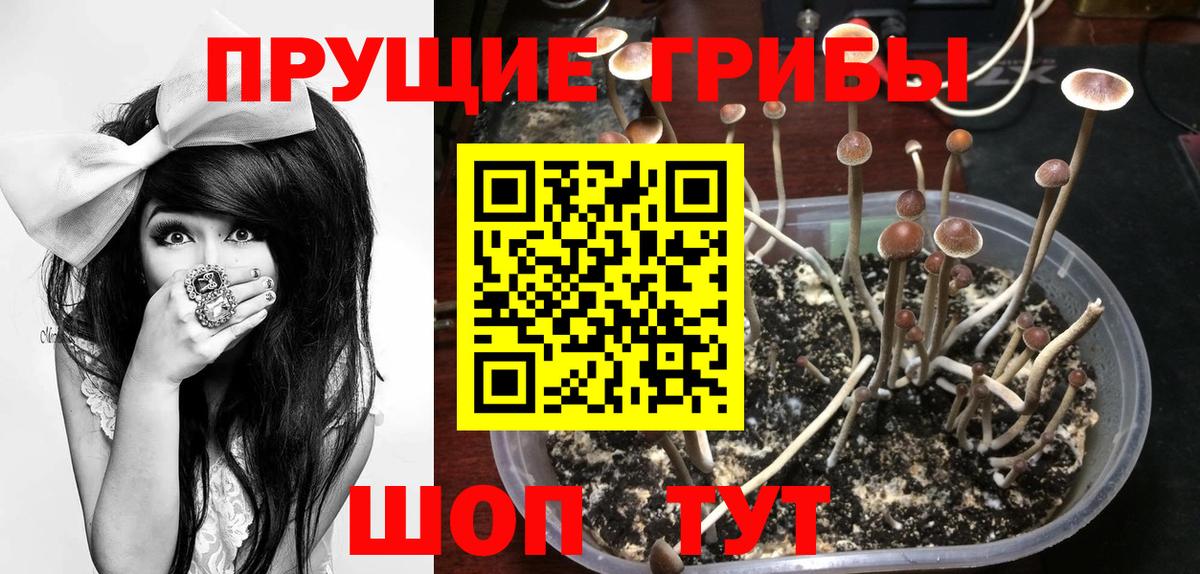 Галлюциногенные грибы ЛСД Северобайкальск
