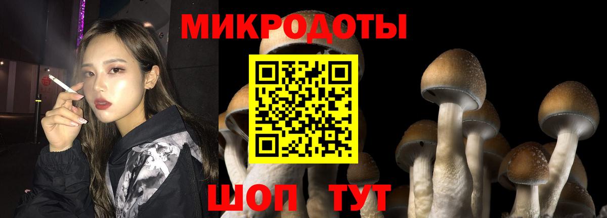 Северобайкальск  Галлюциногенные грибы Psilocybe  Галлюциногенные грибы GOLDEN TEACHER  Вход с VPN 